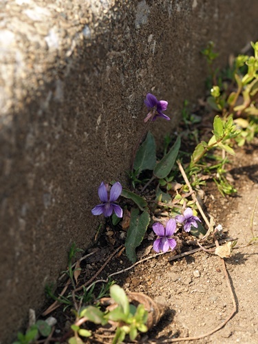 190327028.jpg