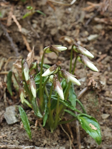 190328028a.jpg