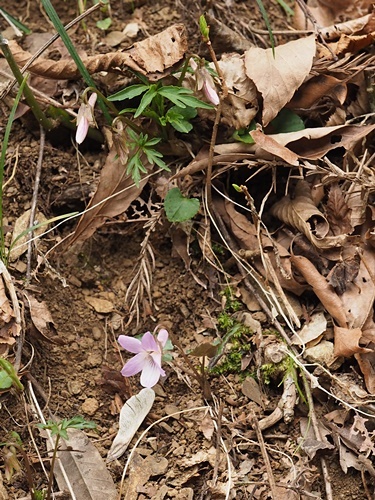 190328130.jpg