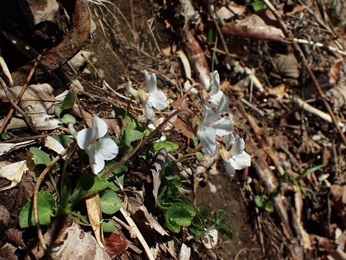 190416104.jpg