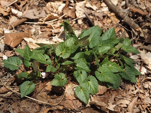 �I�T�J�X�~��