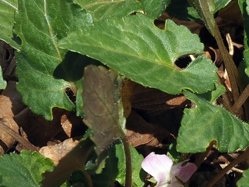 �I�T�J�X�~��