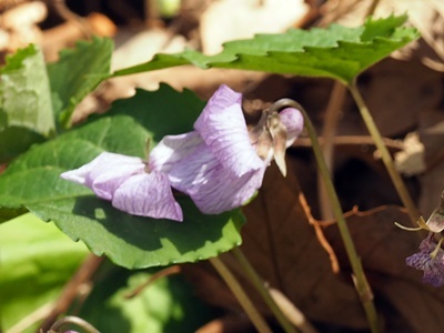 190423045.jpg