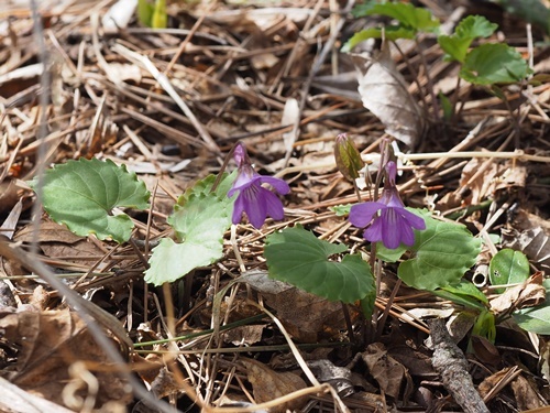 190428055s.jpg