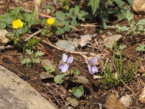 190428124tatitubo.jpg