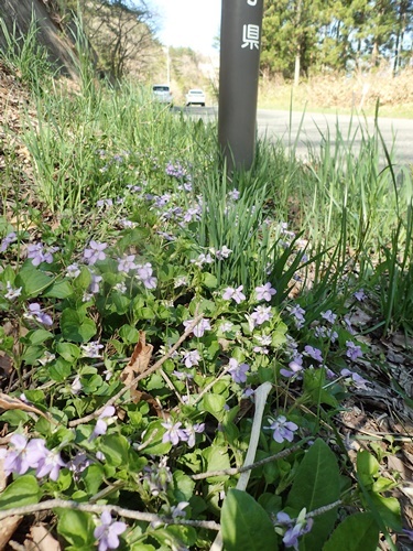 190503055.jpg