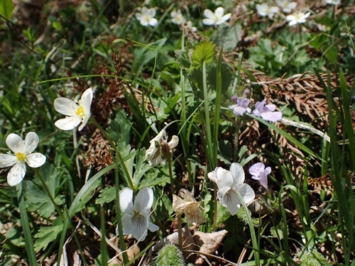 190505163maruba.jpg
