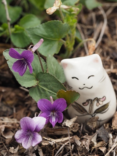 190507047.jpg