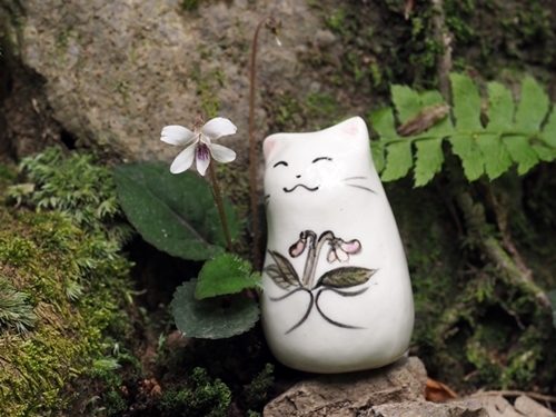 190517024komiyama-neko.jpg