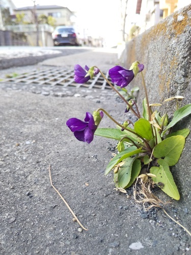 200315042.jpg