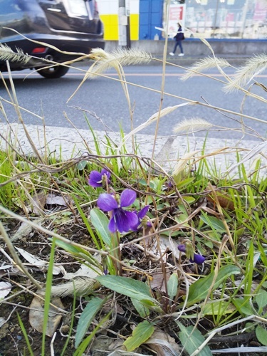 200315071.jpg