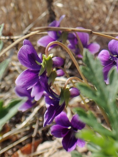 200318007.jpg