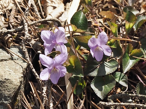 200417041.jpg
