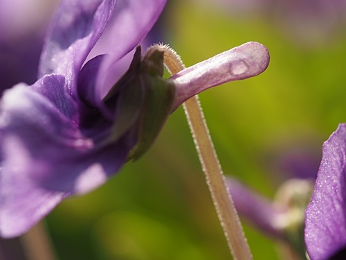 200417105.jpg