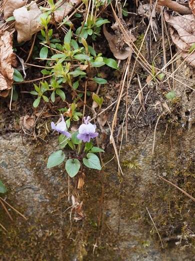 200417117.jpg