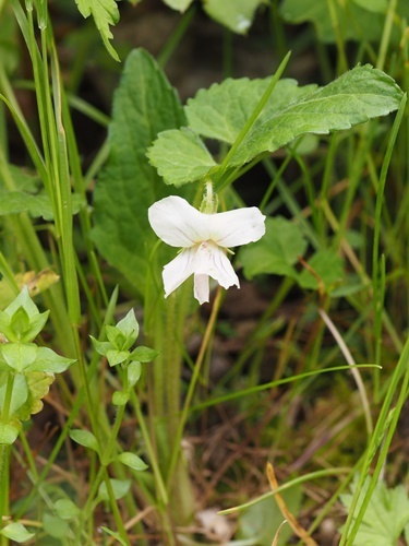 200501014.jpg