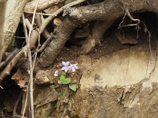 200501052.jpg