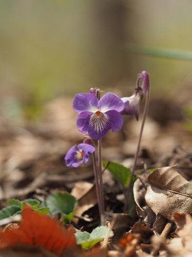 200501055.jpg