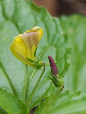 200503025.jpg