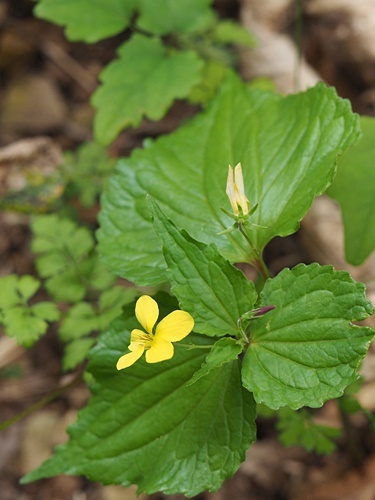 200503032.jpg