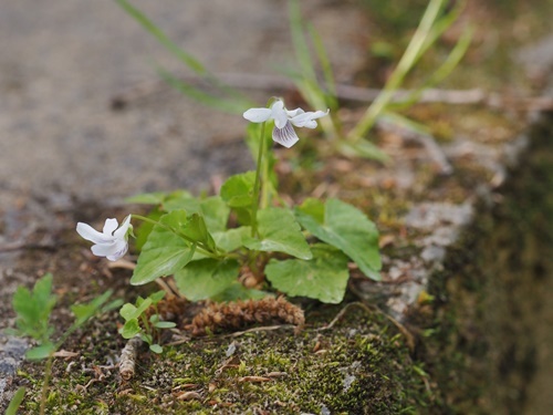 200508135.jpg