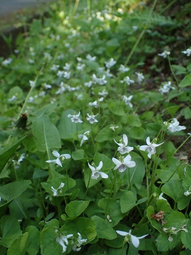 200508150.jpg
