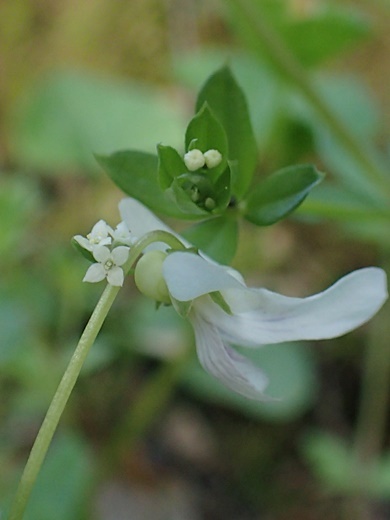 200508153.jpg