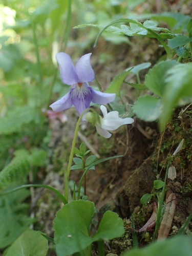 200508156.jpg