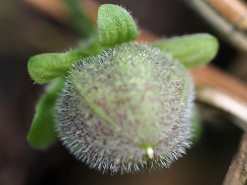 200527030.jpg