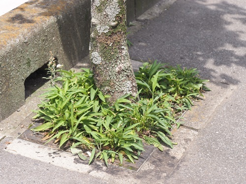 200615005.jpg