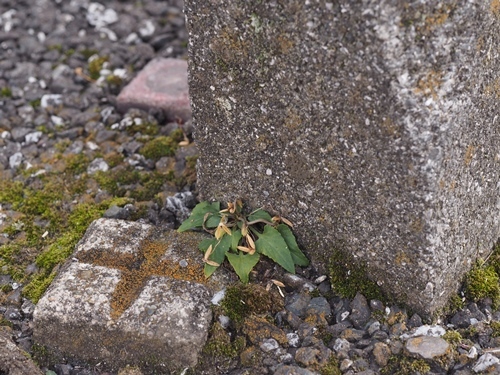 201119023.jpg