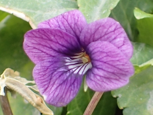 230113020s.jpg