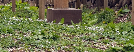 230405063.jpg