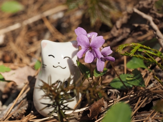 190429040.jpg