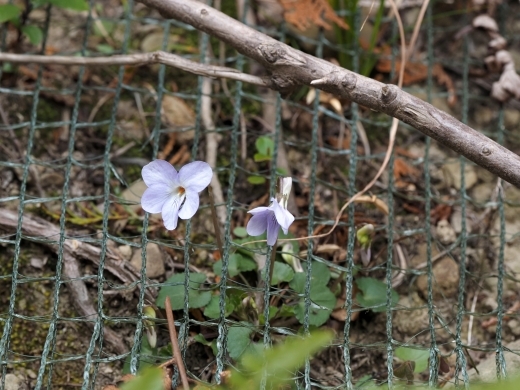250401133tatitubo.jpg