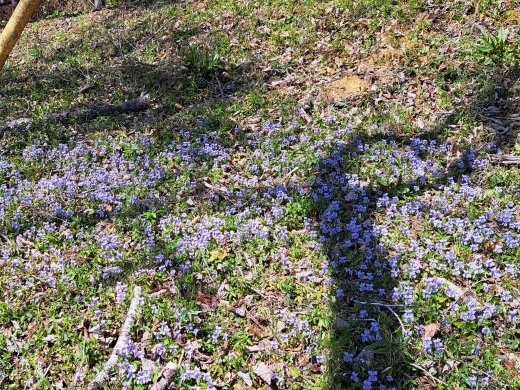 250409018G.jpg