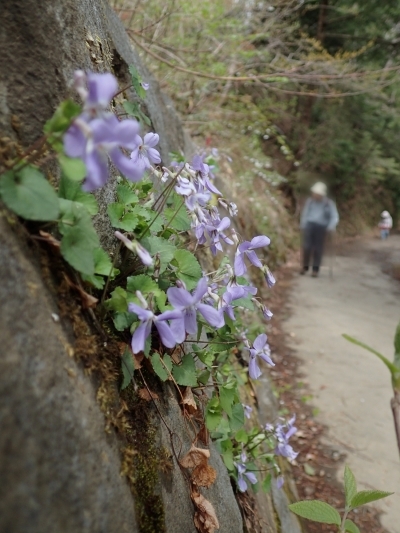 250411116tatitubo.jpg