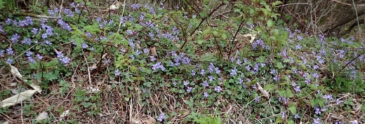 250504028.jpg