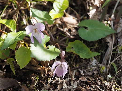 250504081.jpg