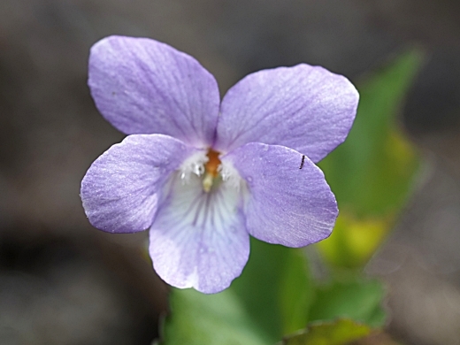250505001-2000.jpg
