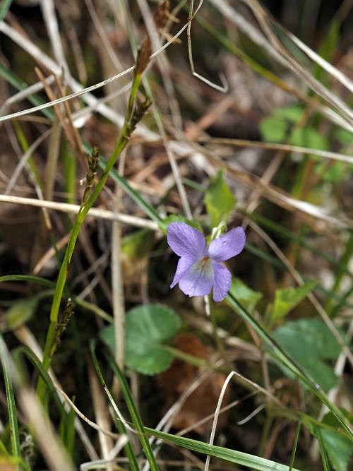 250505005.jpg