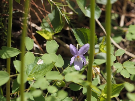 250505007.jpg