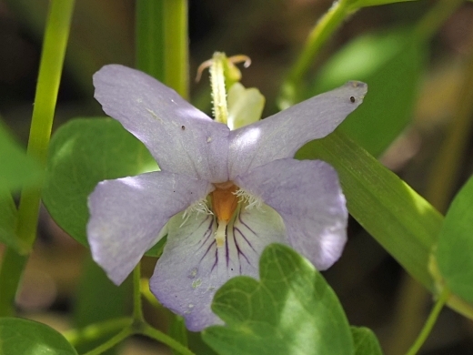 250505008s.jpg