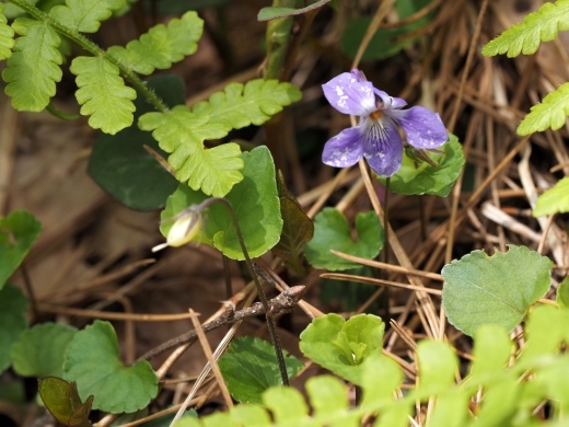 250505018.jpg
