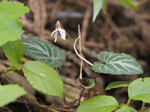 250505049.jpg