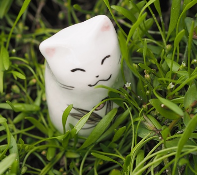 キタミソウ